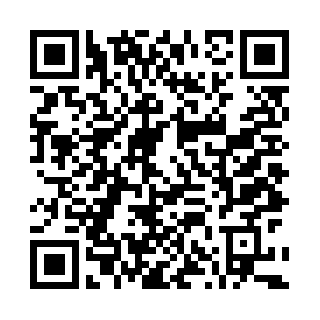 Laneview Survey